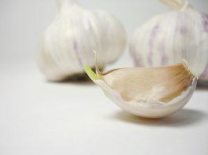 Garlic Potency With Cooking