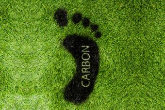 What Is the Average Carbon Footprint?
